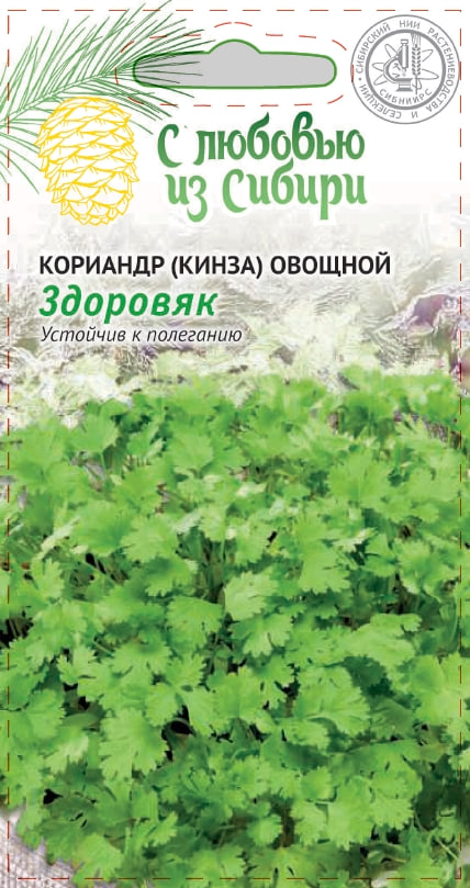

Кориандр (кинза) Здоровяк 2 гр цв. п (Сибирская серия)