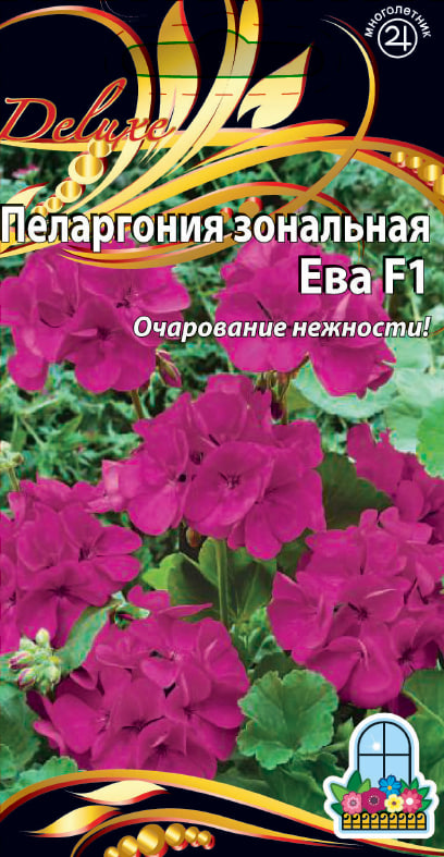 

Пеларгония зональная F1 Ева 5 шт