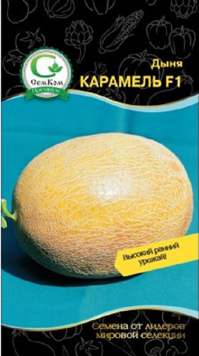 Дыня Карамель F1 (Clause) 5шт цв.п.