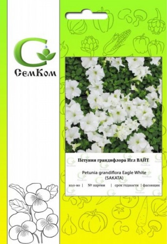 Петуния грандифлора Игл Вайт 100 др (Sakata)