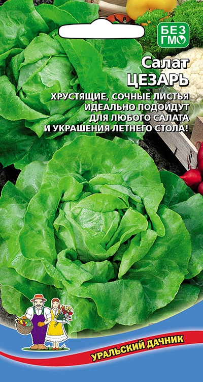 Салат Цезарь (УД) 0,25 гр цв.п