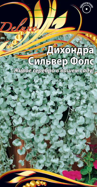 

Дихондра Сильвер Фолс 5 шт