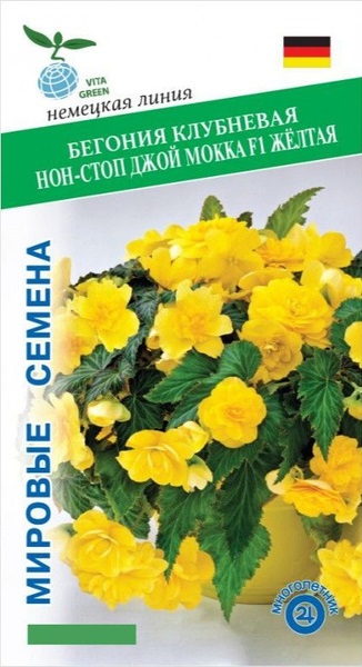 Бегония клубневая Нон-стоп Джой F1 Жёлтая (Benary) 5 шт