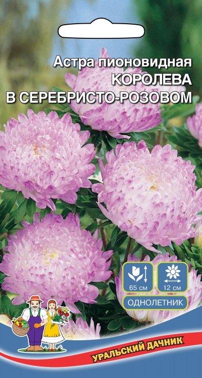 Астра пионовидная Королева гигантов в серебристо-розовом (УД) 0,2 гр цв п 