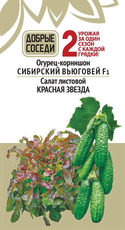 

Огурец СИБИРСКИЙ ВЬЮГОВЕЙ F1 и Салат КРАСНАЯ ЗВЕЗДА