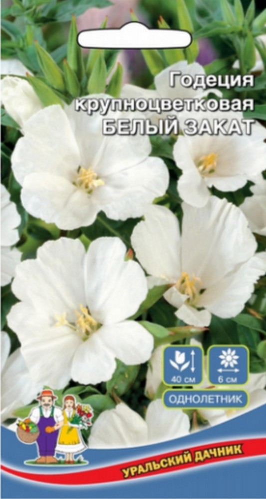 

Годеция крупноцветковая Белый закат (УД) 0,1 гр цв п