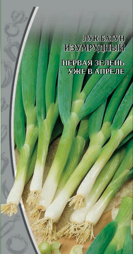 

Лук батун Изумрудный 0,5 гр цв.п.