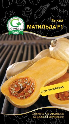 

Тыква Матильда F1 мускатная (Enza Zaden) 5 шт, цв.п