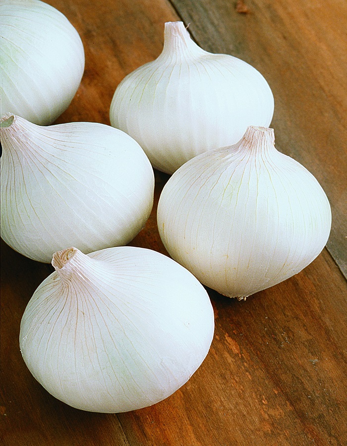 

Лук севок Стардаст 1 кг (калибр 9-21)