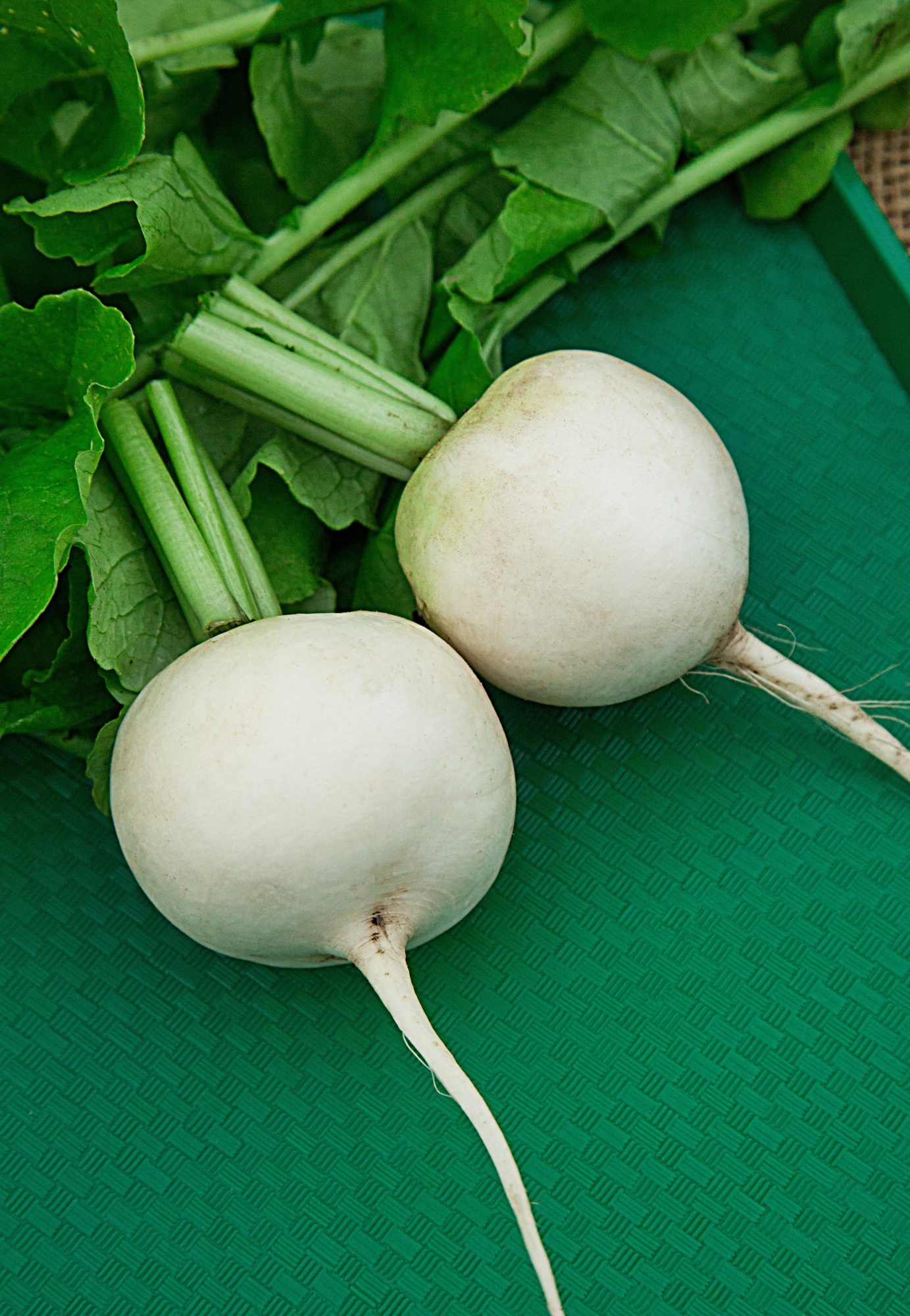 

Дайкон Саша 1 гр б.п.