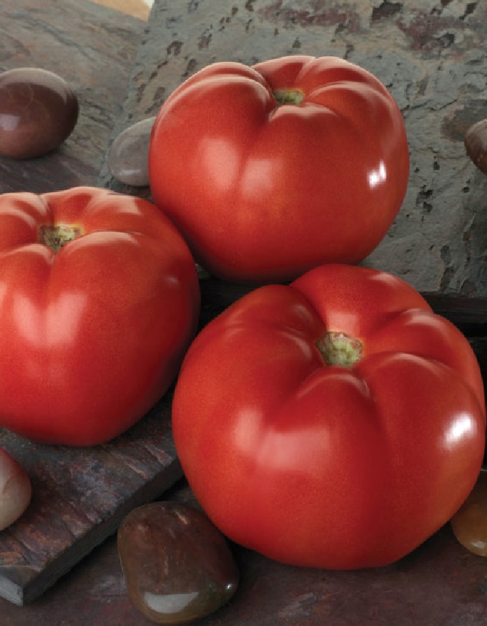 Томат Красная гвардия F1 (УД) 10 шт. цв.п. семена томат вексель f1 10 шт