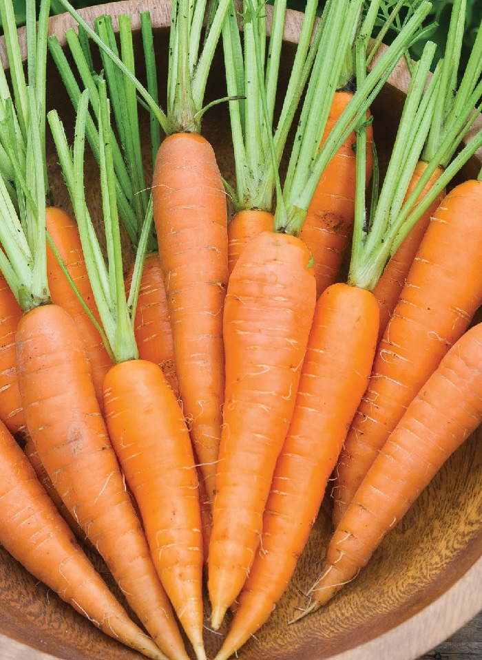 Морковь Цукат (УД) 1,5 гр цв.п., Морковь, Морковь семена