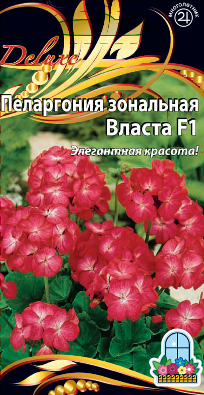 

Пеларгония зональная F1 Власта 5 шт
