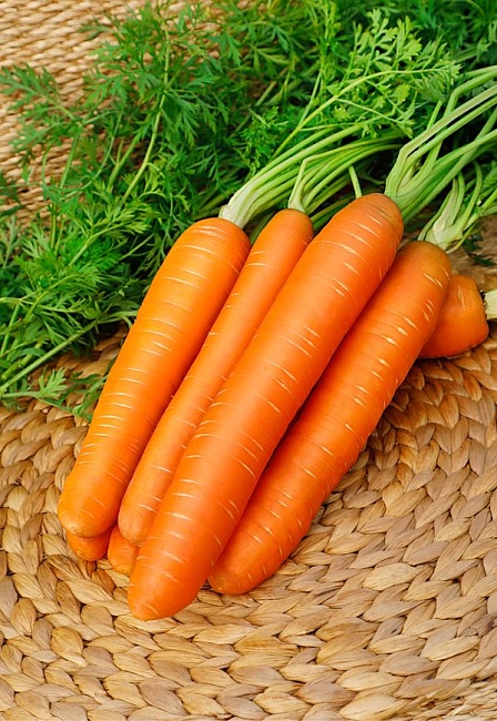 Морковь Император  2 гр б.п.