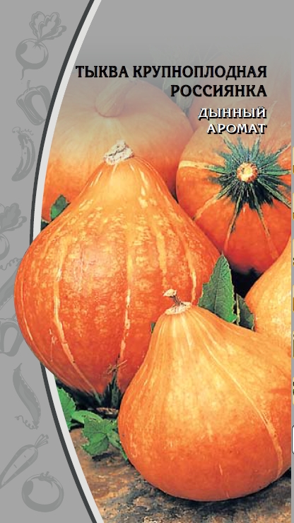 Тыква крупноплодная Россиянка 2 гр цв.п
