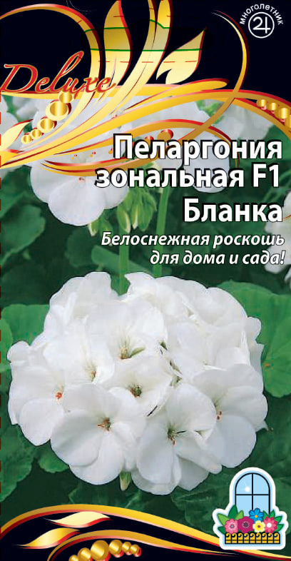 Пеларгония зональная F1 Бланка 5 шт      