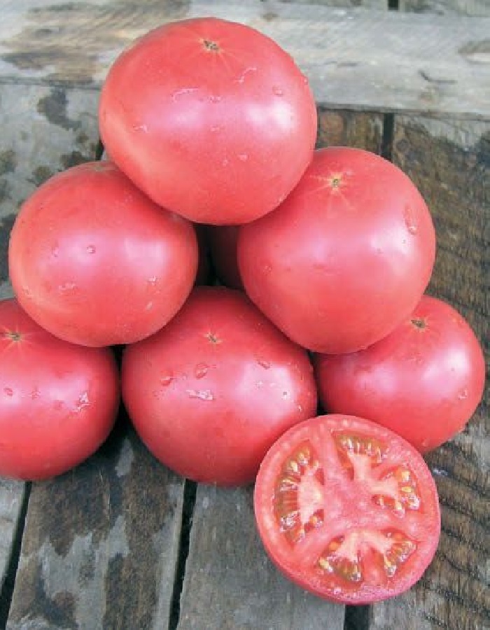 Томат Тарпан F1 (Nunhems) 10шт, цв.п семена томат витадор 10шт