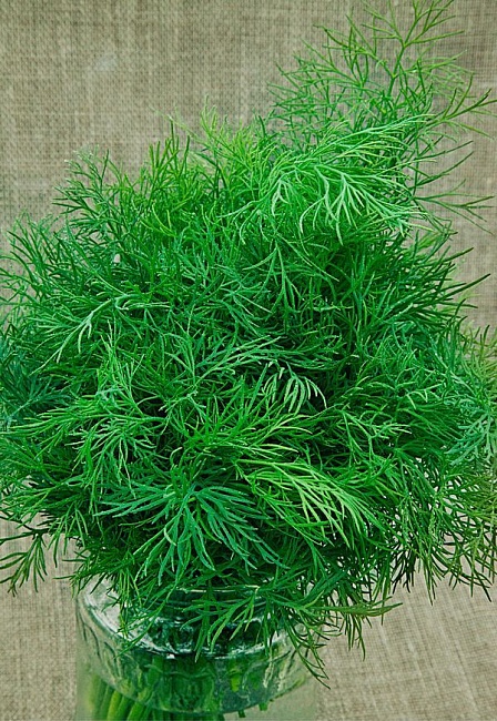 Укроп Вологодские кружева 2 гр б.п.