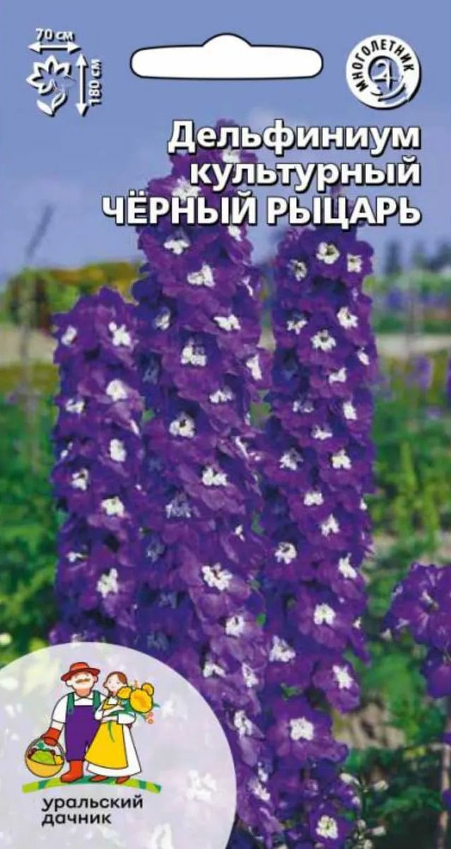 Дельфиниум культурный Черный рыцарь УД 005 гр цв п 61₽