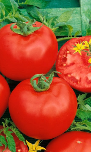 Томат Перун F1 (УД) 12 шт. цв.п.проф