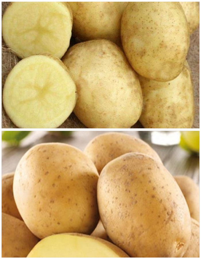 

Набор "Раннее солнышко" 2 сорта (2 кг)