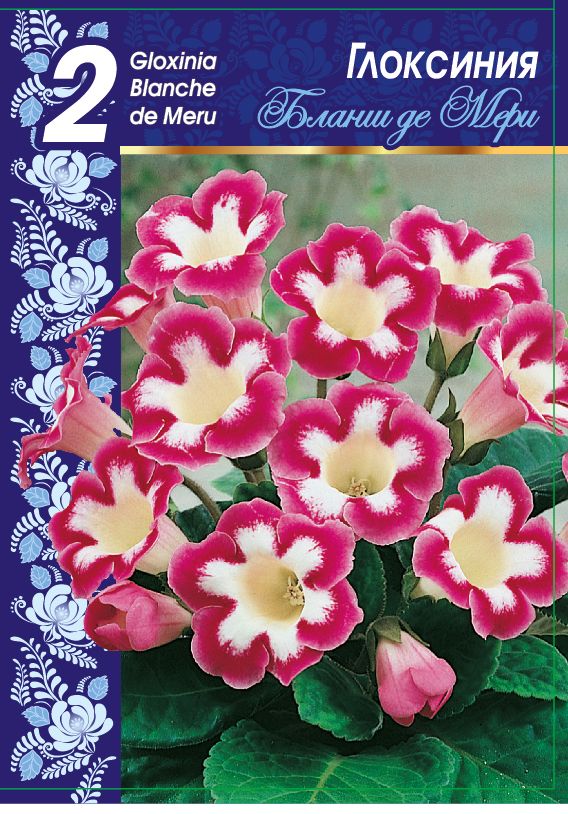 

Глоксиния Бланш де Мери 1 уп. (2 шт.)