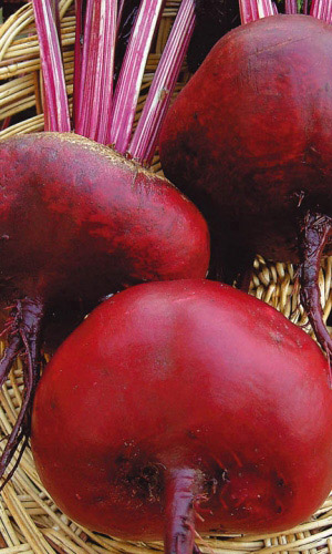 Свекла Сибирская плоская (УД)  2 гр  цв.п