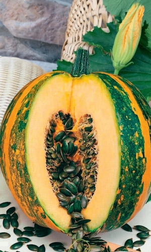 Тыква Абрикосовая (УД) 3 шт цв.п. 