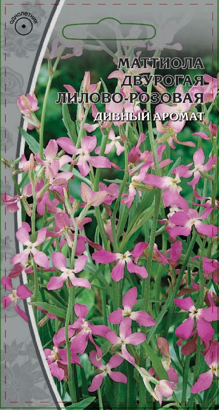 Маттиола Двурогая Лилово-розовая  0,3 гр