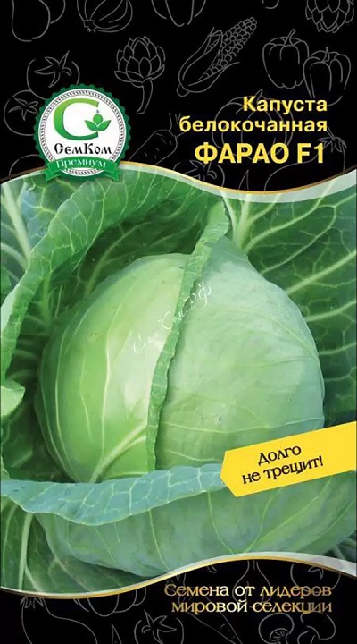 Капуста белокочанная Фарао F1 (Bejo Zaden) 15шт. цв.п.
