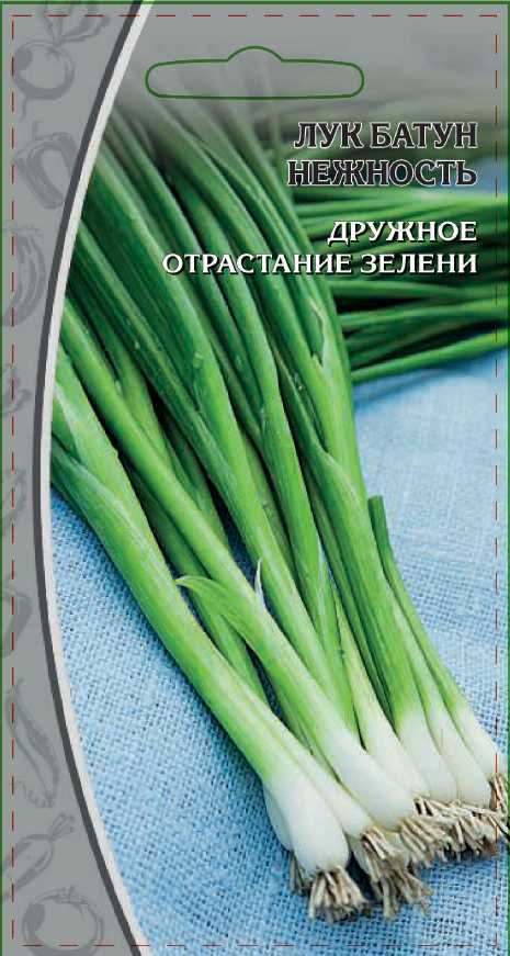Лук батун Нежность 0,5 гр цв.п.