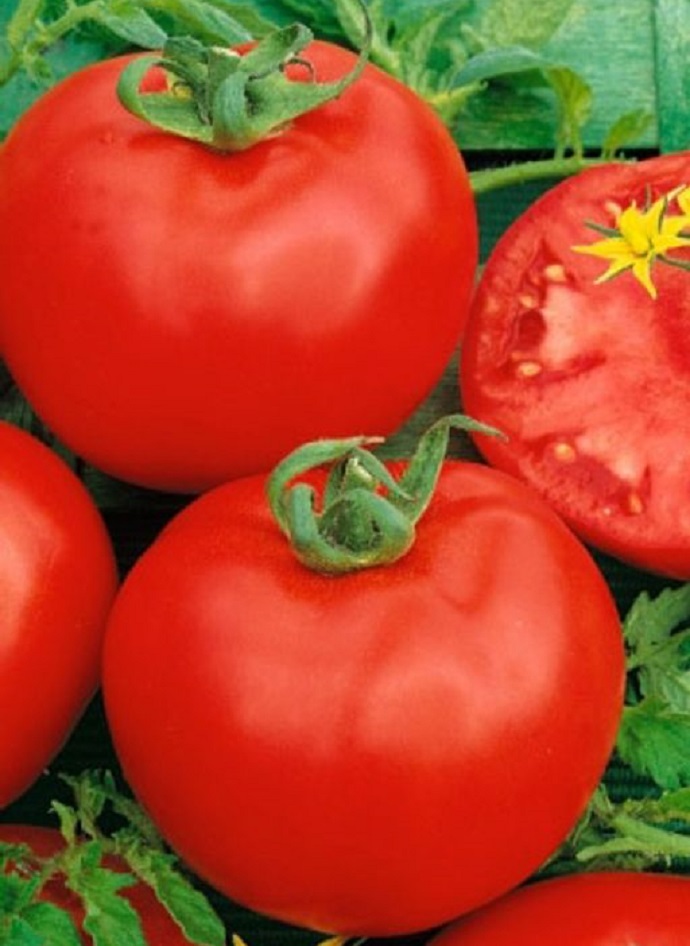 Томат Сверхранний 1105 (УД) 20 шт цв.п семена томат сверхранний цп 20шт