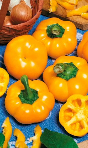 Перец сладкий Солнышко (УД) 20 шт. цв.п.