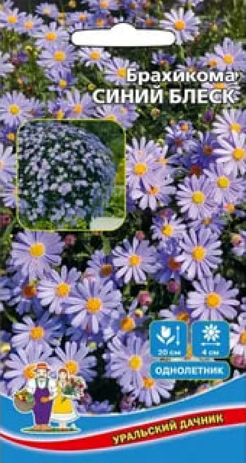 

Брахикома Синий блеск (УД) 0,05 гр