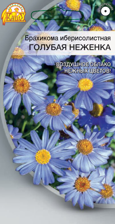 

Брахикома иберисолистная Голубая Неженка 0,02 гр