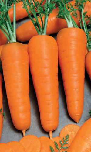 Морковь Корейская закуска (УД) 2 гр цв.п.