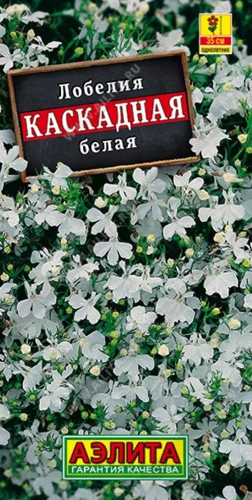 

Лобелия каскадная белая (Аэлита) 0,05 гр цв п