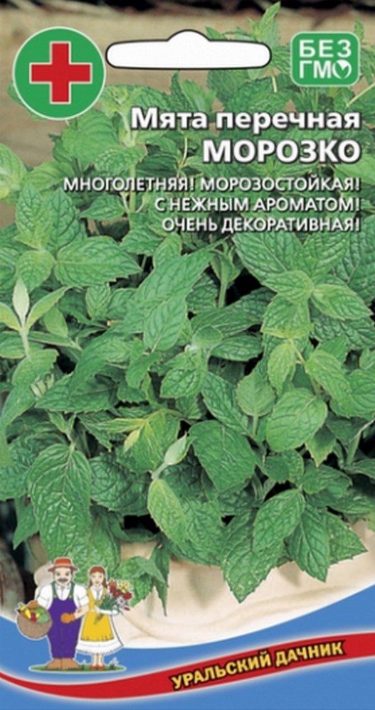 

Мята Морозко - перечная (УД) 0,05 гр цв п