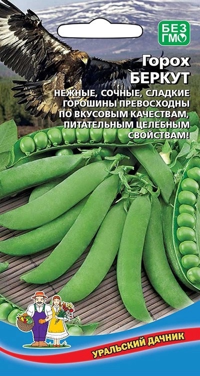 Горох Беркут (УД) 5 гр цв.п.