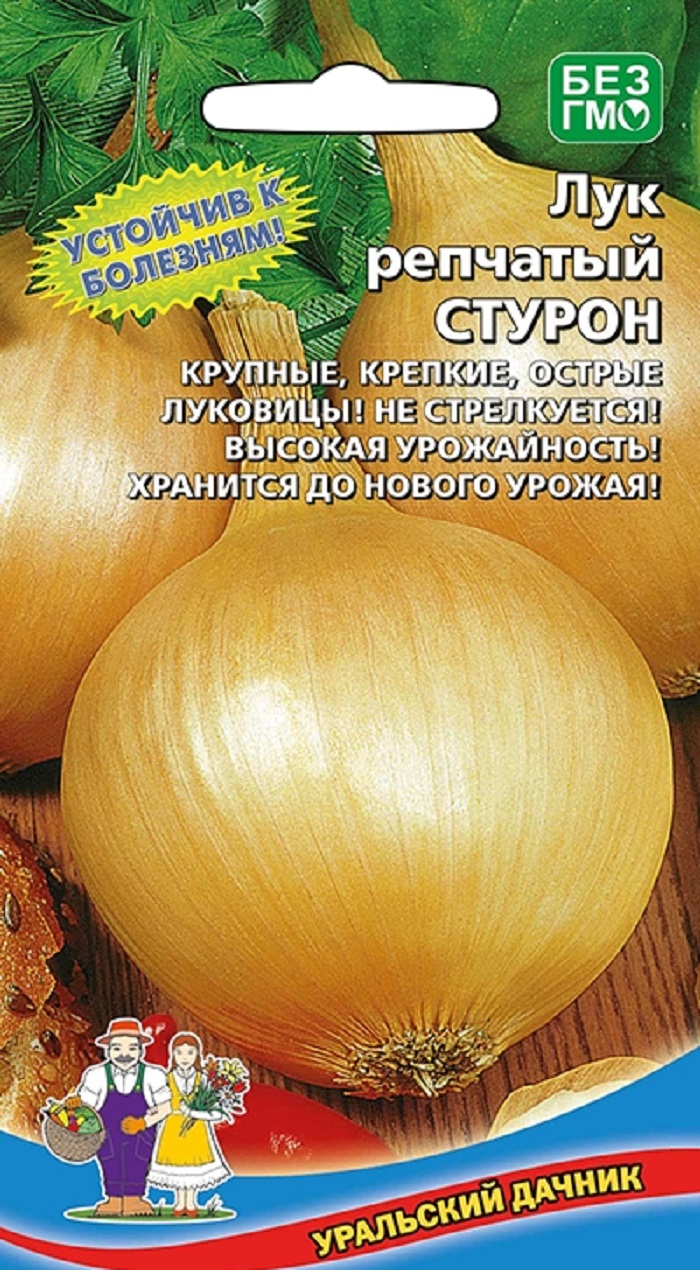 

Лук репчатый Стурон (УД) 0,25 гр. цв.п.