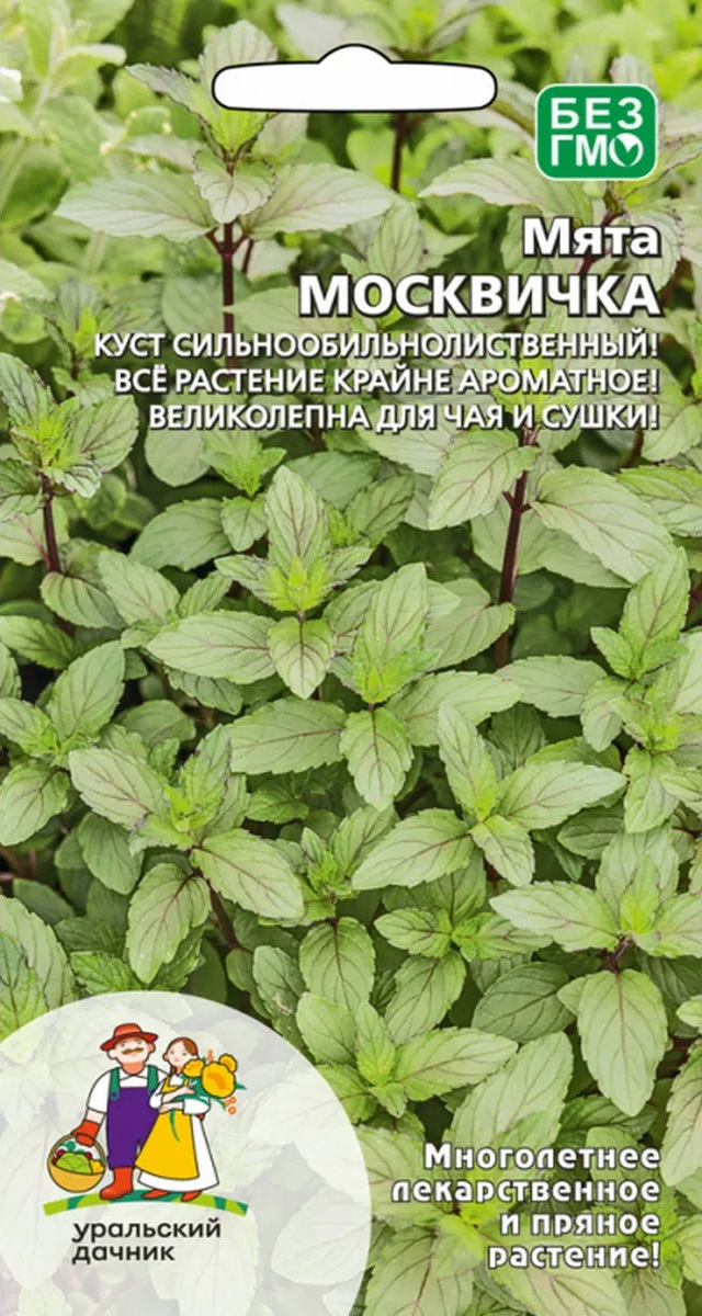 

Мята Москвичка (УД) 0,03 гр цв п