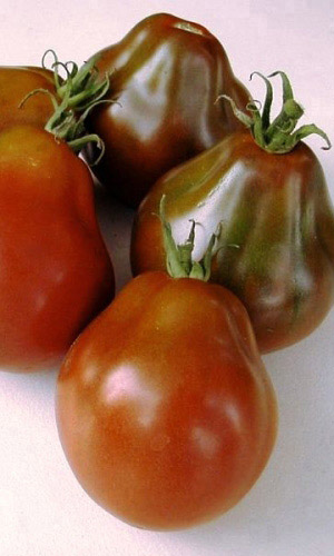 Томат Сибирская груша черная (УД) 20 шт цв.п