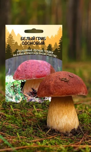 Грибы Белый гриб Сосновый (УД) 30 мл/15 гр цв.п