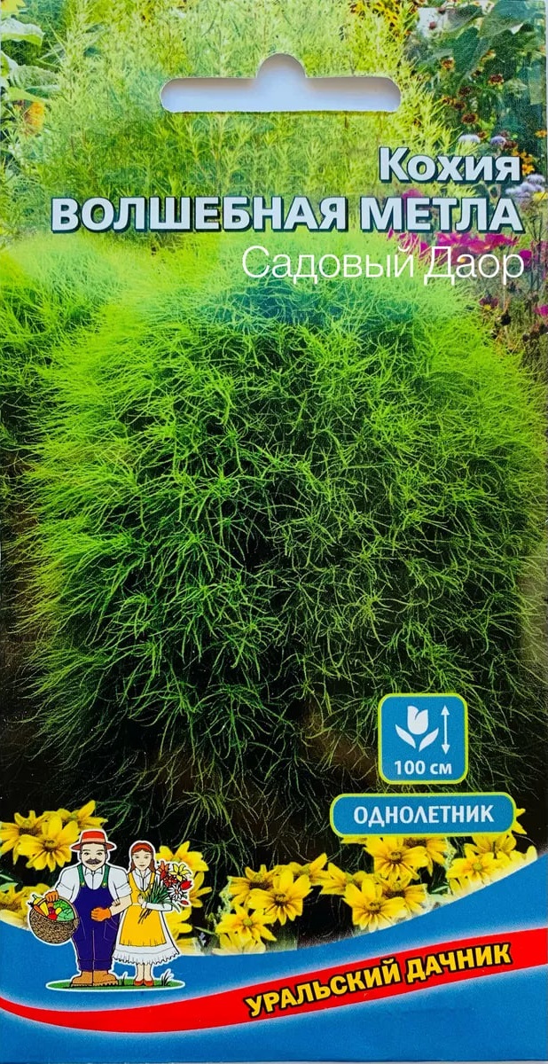 

Кохия Волшебная метла (УД) 0,2 гр цв п