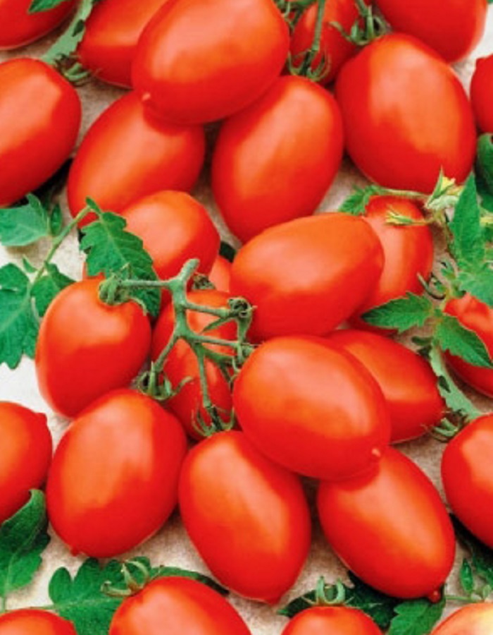 Томат Многоплодный 773 (УД) 20 шт. цв.п. семена томат многоплодный 773 20 шт