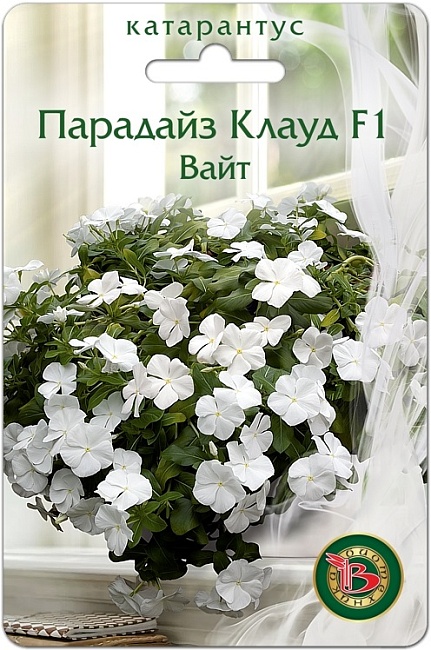 Катарантус Парадайз Клауд F1 Вайт 5 шт