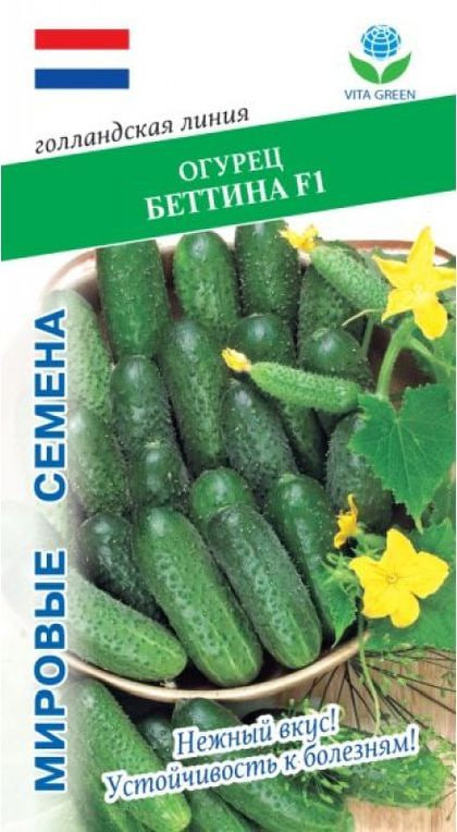 Огурец Беттина F1 (Nunhems) 7шт цв.п.