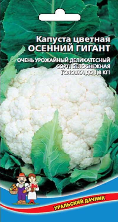 

Капуста цветная Осенний гигант (УД) 0,25 гр. цв.п.