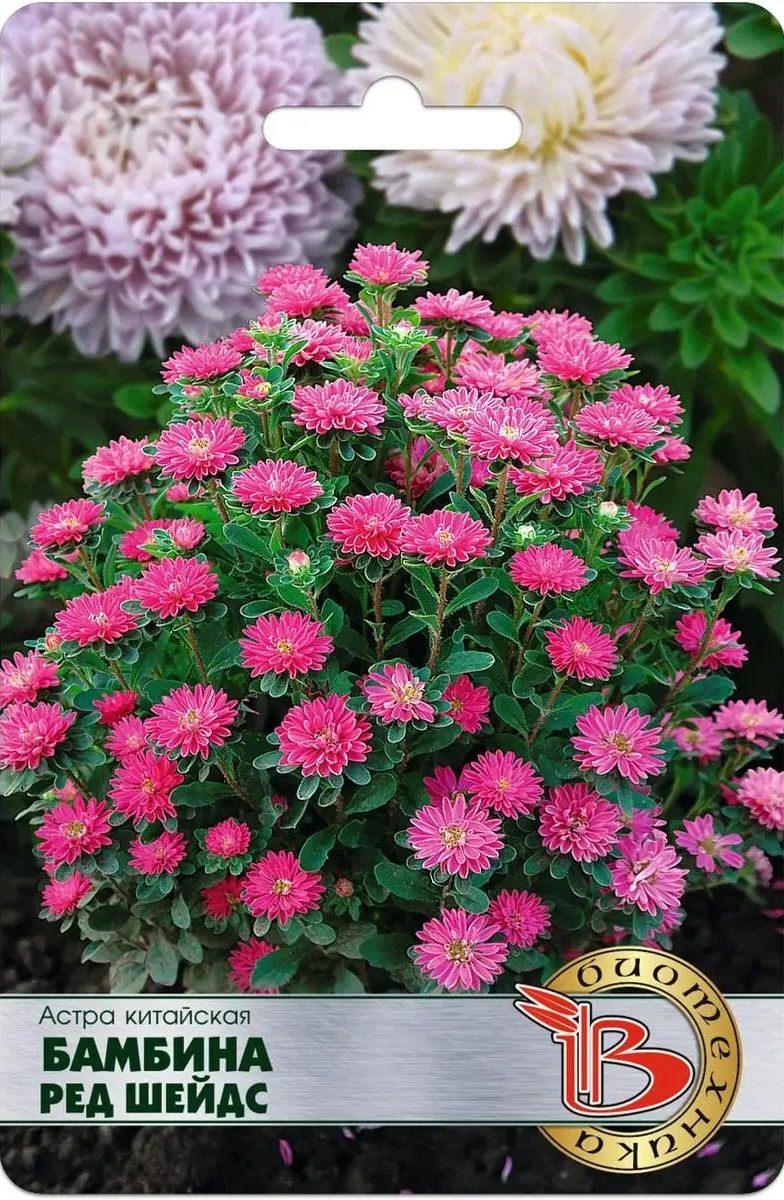 

Астра Бамбина Ред Шейдс 20 шт