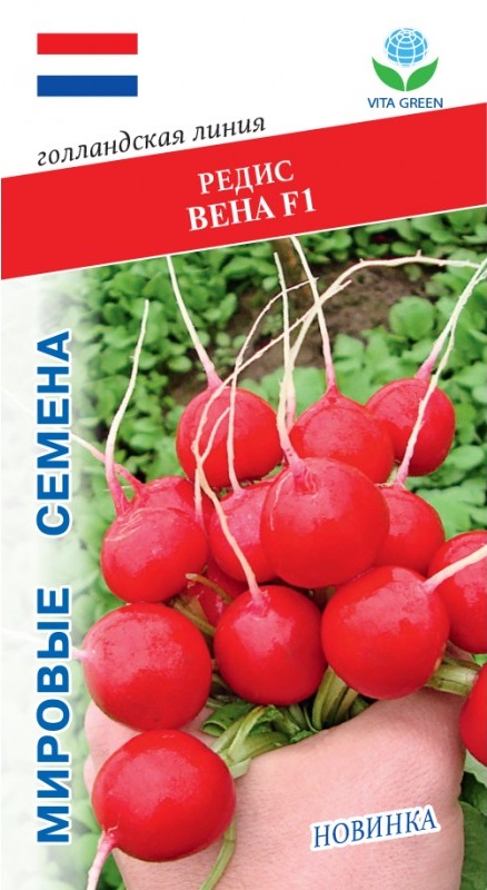 Редис Вена F1 (Enza Zaden) 1 гр цв.п. 